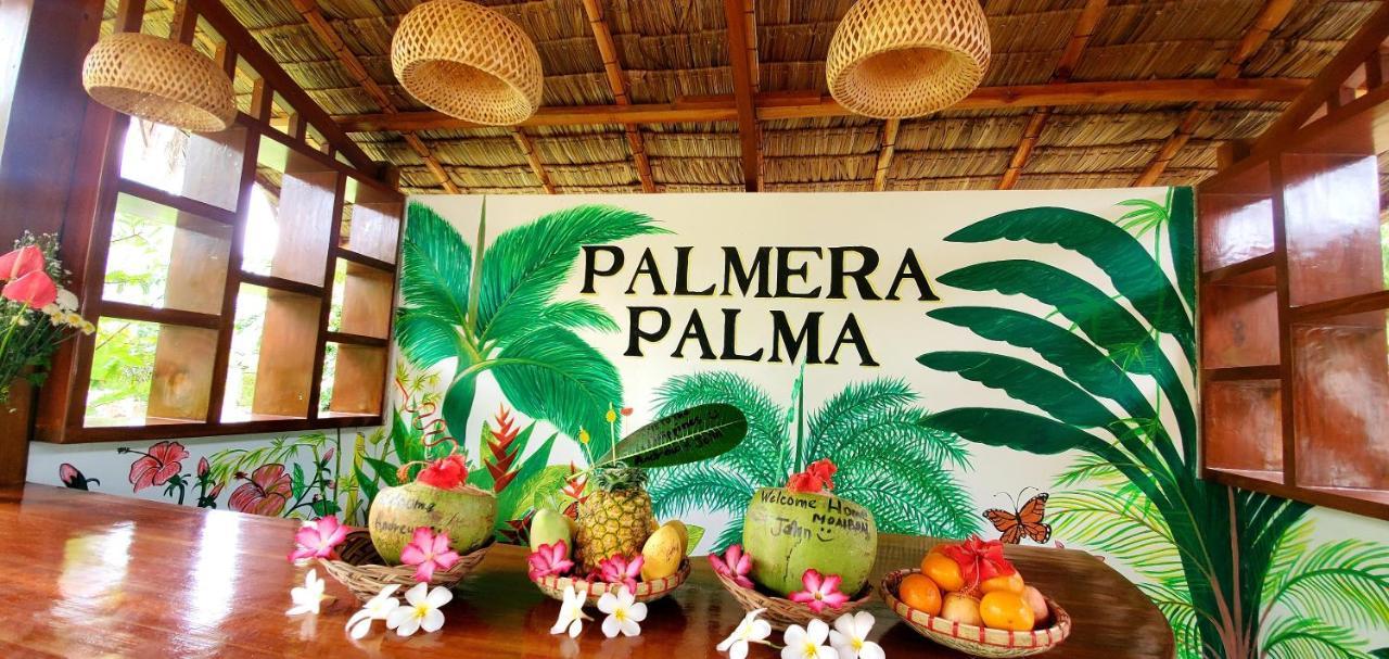 Palmera Palma Garden Level Moalboal Exterior foto